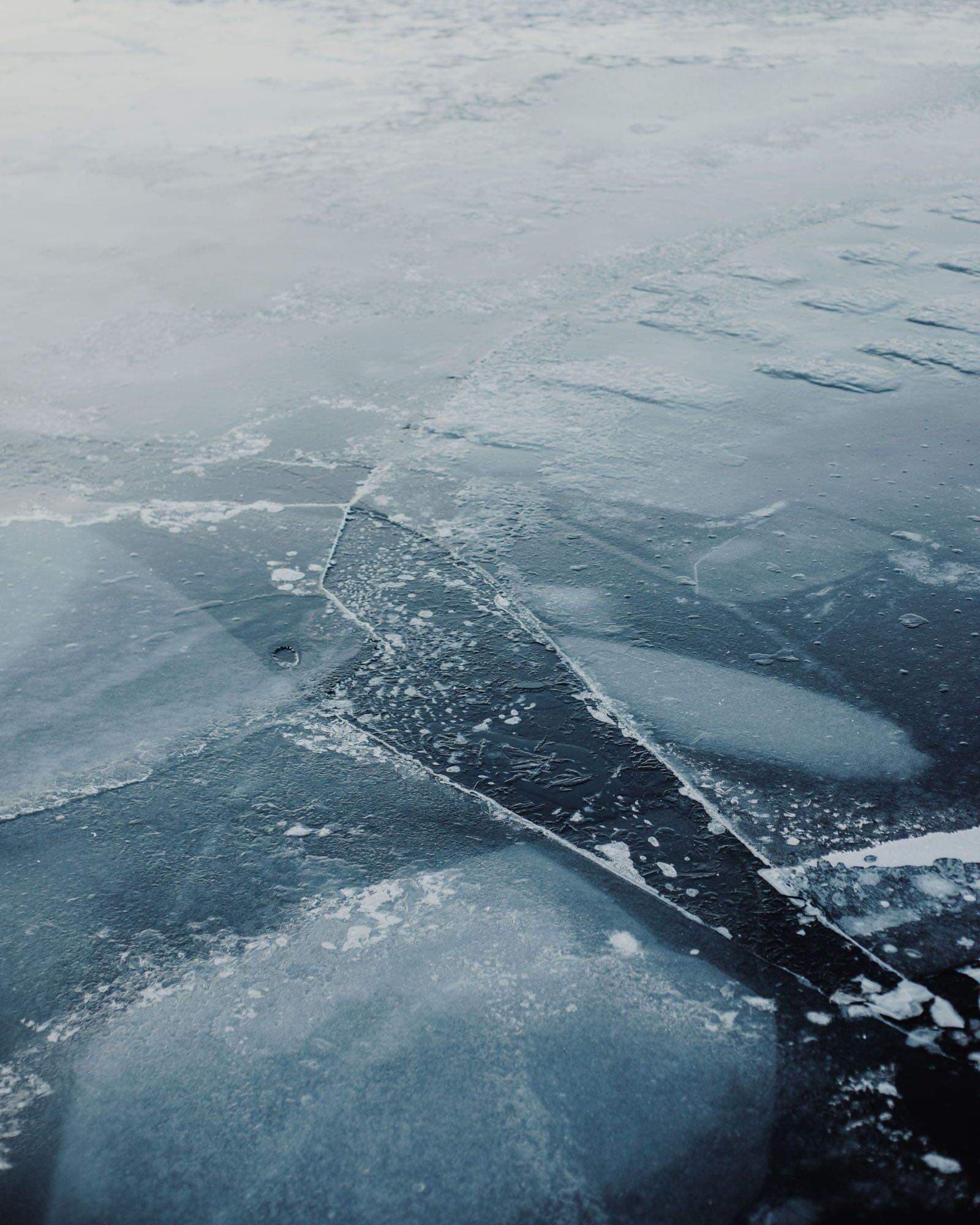 71495494_511911056304910_6572654363636924416_n