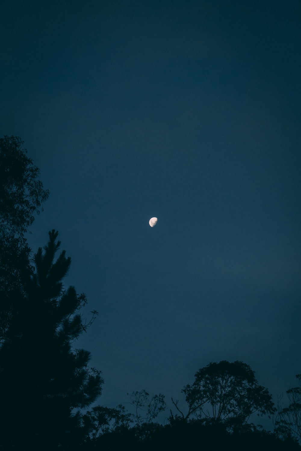 A17A79EB-95E4-44D4-B6B6-FDBD9D35D4AE