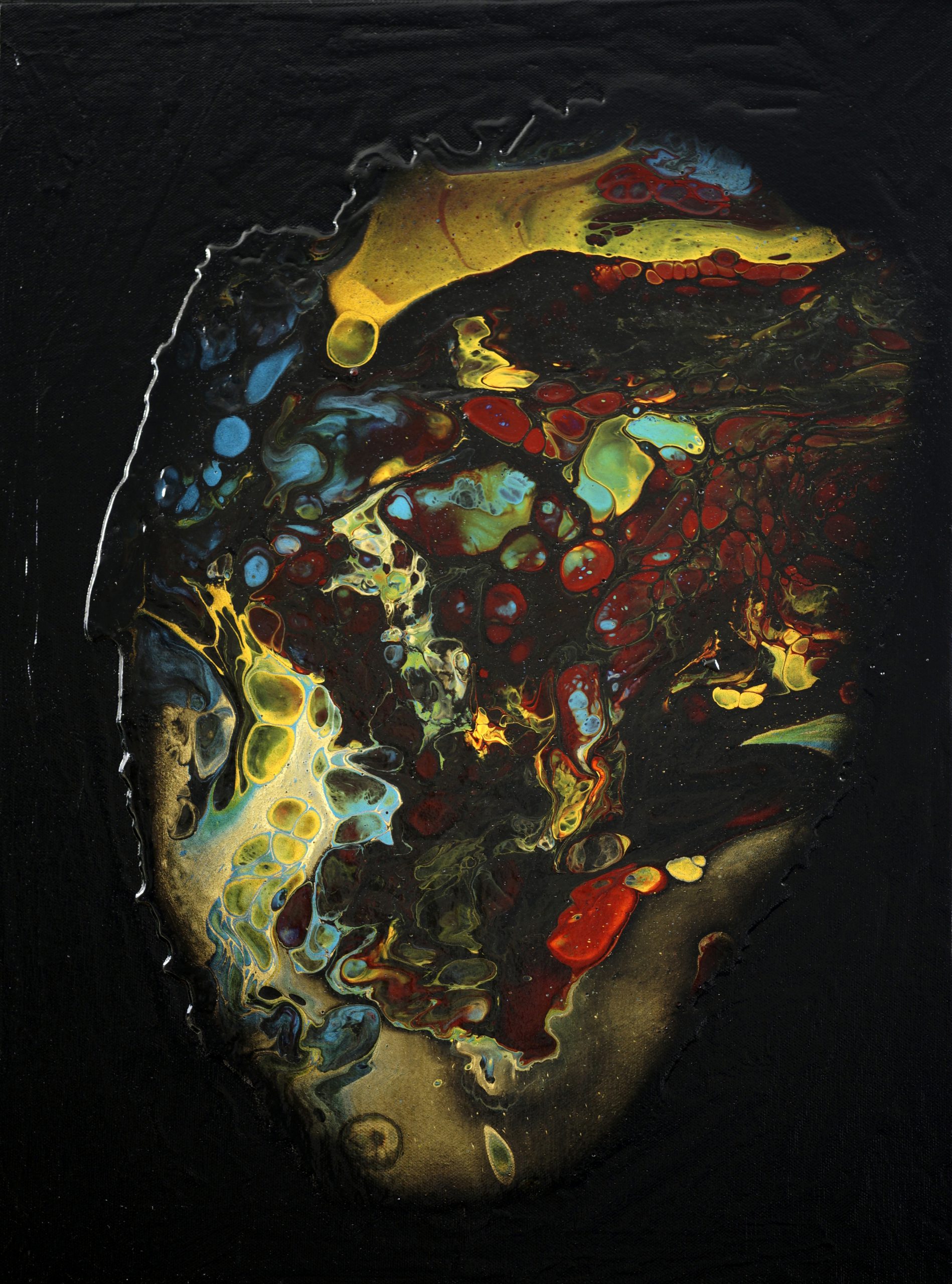 The Anatomical Heart