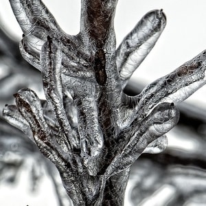 tree-g6aac8720b_640 (1)